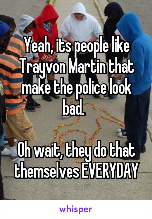 Yeah, its people like Trayvon Martin that make the police look bad.  

Oh wait, they do that themselves EVERYDAY