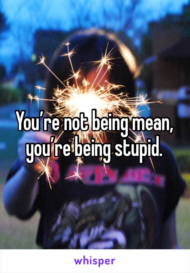 You’re not being mean, you’re being stupid.