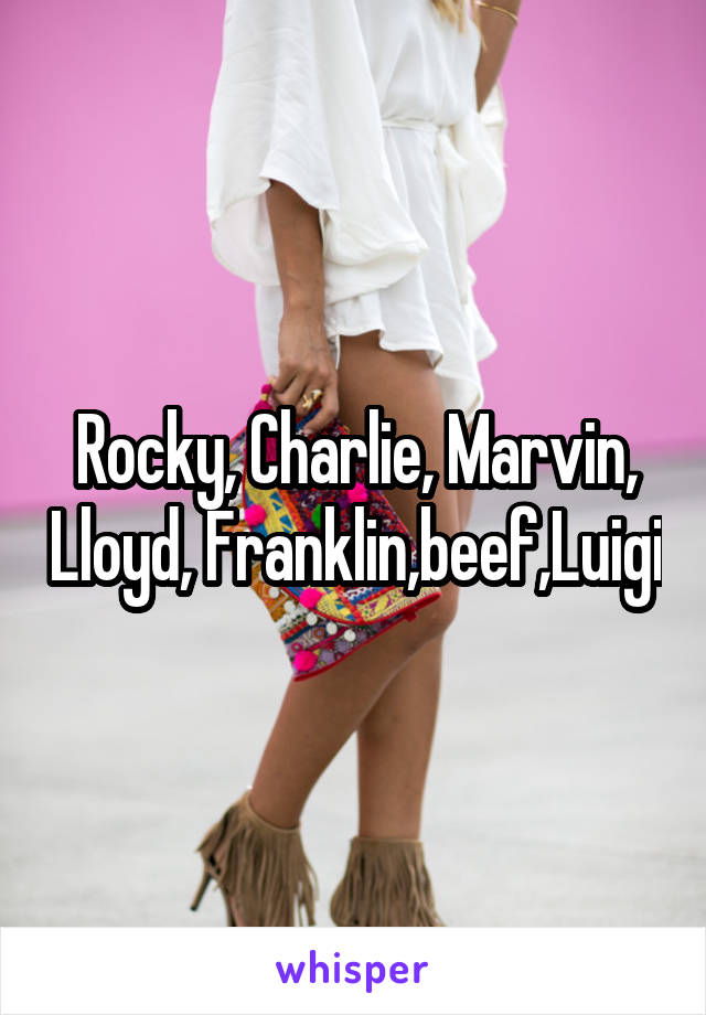 Rocky, Charlie, Marvin, Lloyd, Franklin,beef,Luigi