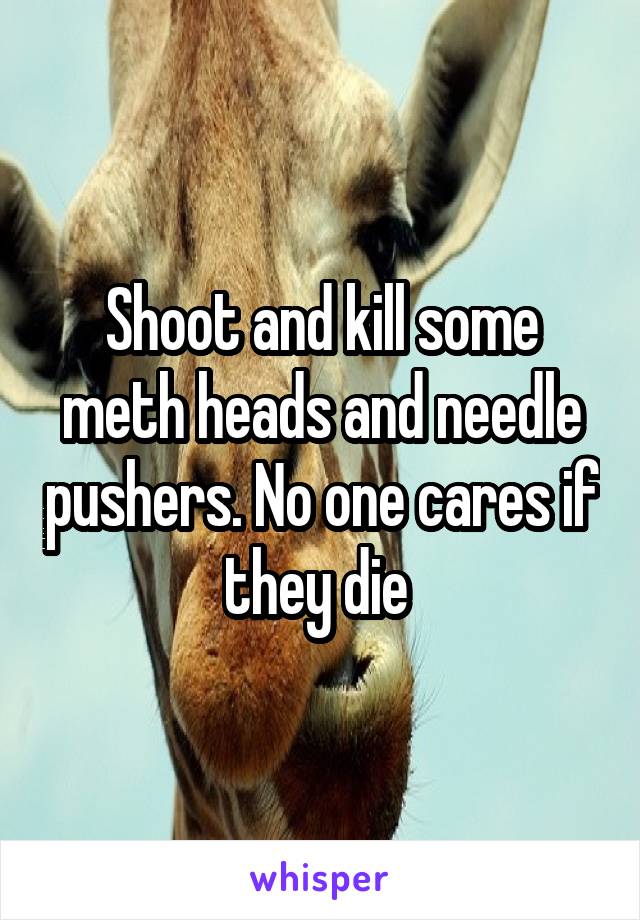 Shoot and kill some meth heads and needle pushers. No one cares if they die 