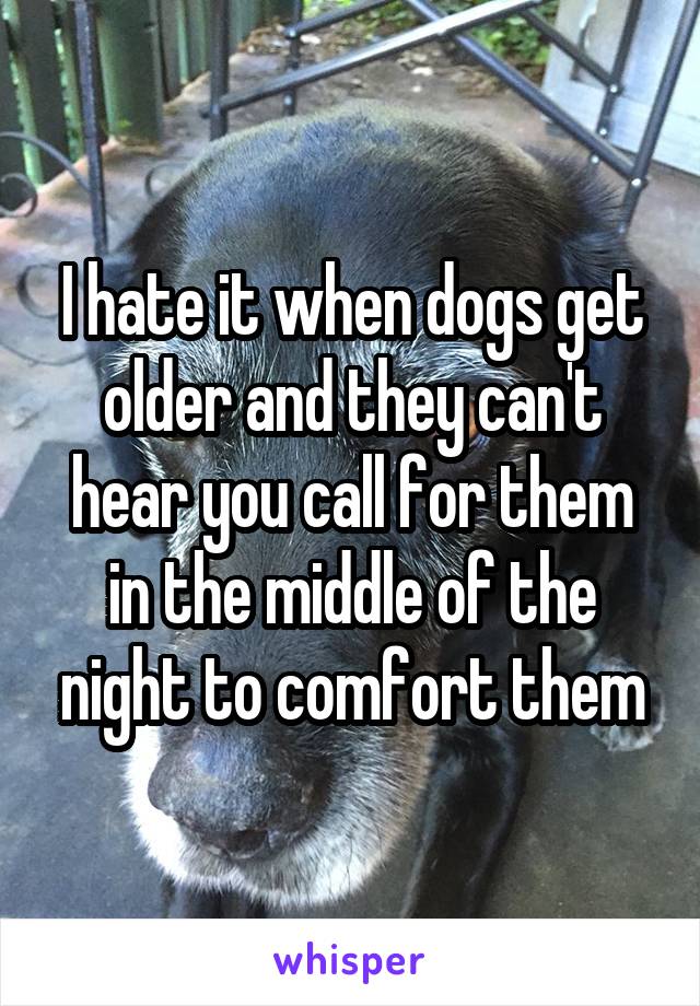 I hate it when dogs get older and they can't hear you call for them in the middle of the night to comfort them