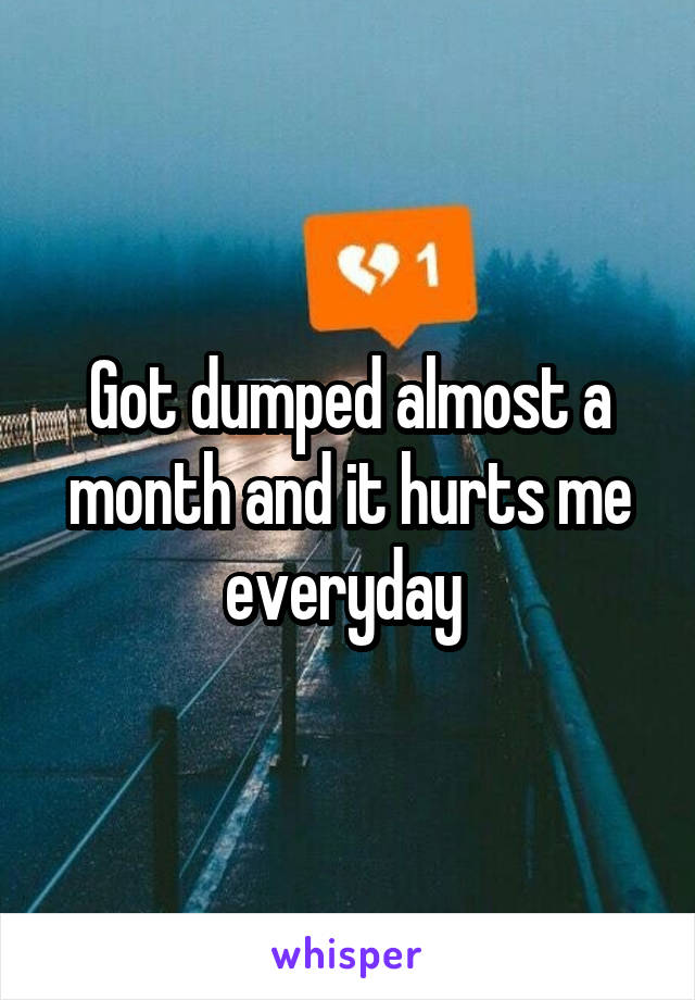 Got dumped almost a month and it hurts me everyday 