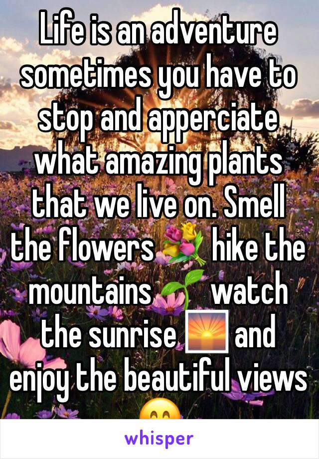 Life is an adventure sometimes you have to stop and apperciate what amazing plants that we live on. Smell the flowers 💐 hike the mountains 🌱 watch the sunrise 🌅 and enjoy the beautiful views 😊