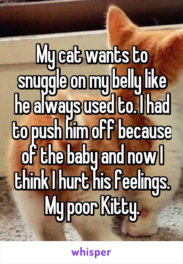 My cat wants to snuggle on my belly like he always used to. I had to push him off because of the baby and now I think I hurt his feelings. My poor Kitty.