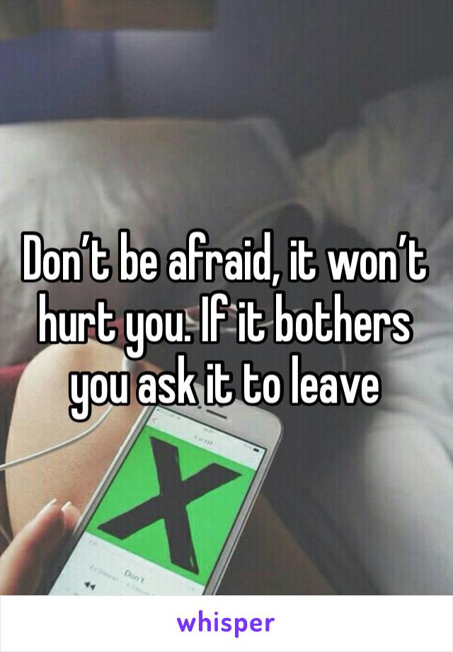 Don’t be afraid, it won’t hurt you. If it bothers you ask it to leave