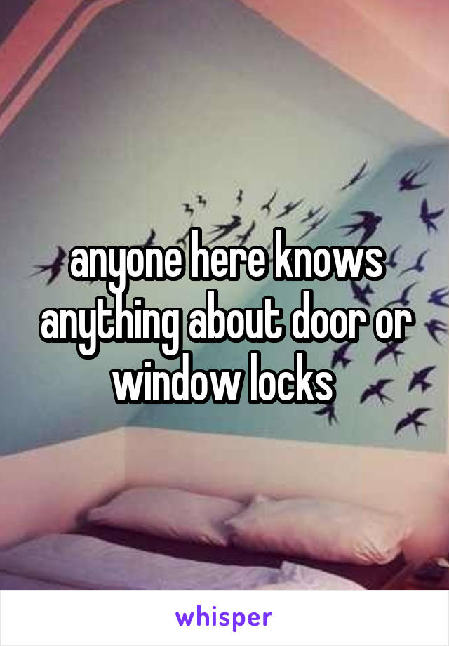 anyone here knows anything about door or window locks 