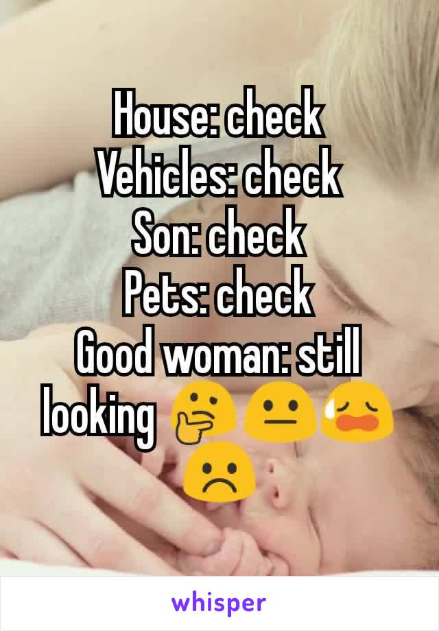 House: check
Vehicles: check
Son: check
Pets: check
Good woman: still looking 🤔😐😥☹️