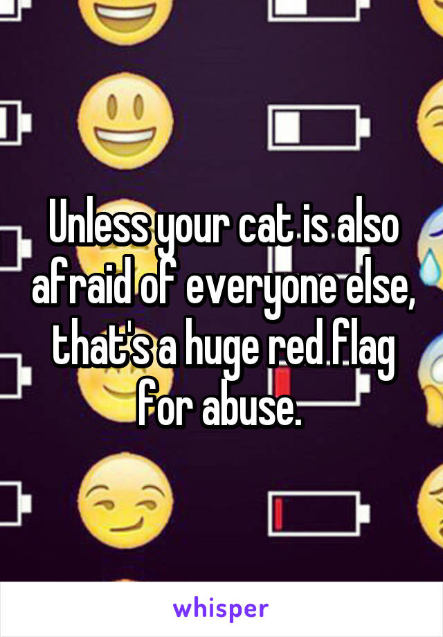 Unless your cat is also afraid of everyone else, that's a huge red flag for abuse. 