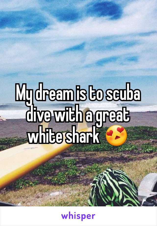 My dream is to scuba dive with a great white shark 😍