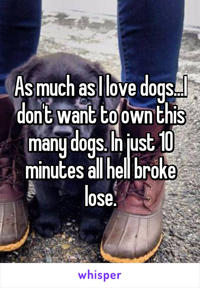 As much as I love dogs...I don't want to own this many dogs. In just 10 minutes all hell broke lose.