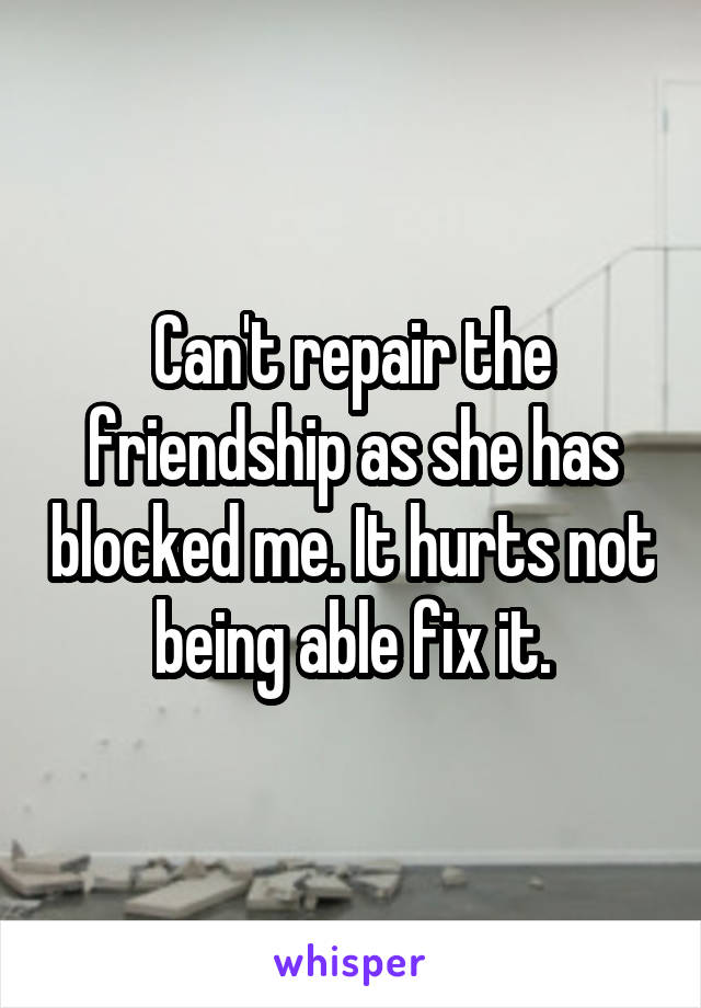 Can't repair the friendship as she has blocked me. It hurts not being able fix it.