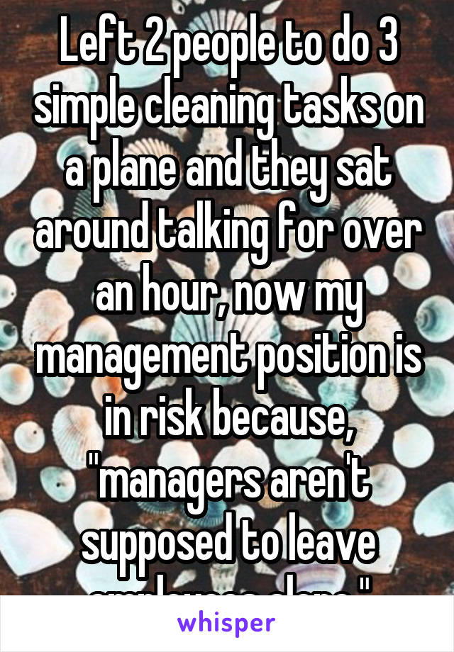 Left 2 people to do 3 simple cleaning tasks on a plane and they sat around talking for over an hour, now my management position is in risk because, "managers aren't supposed to leave employees alone."