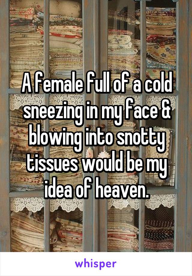 A female full of a cold sneezing in my face & blowing into snotty tissues would be my idea of heaven.