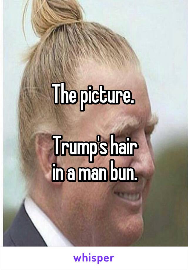 The picture. 

Trump's hair
 in a man bun. 