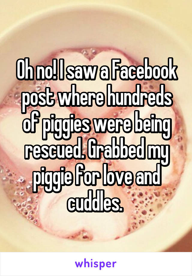 Oh no! I saw a Facebook post where hundreds of piggies were being rescued. Grabbed my piggie for love and cuddles. 