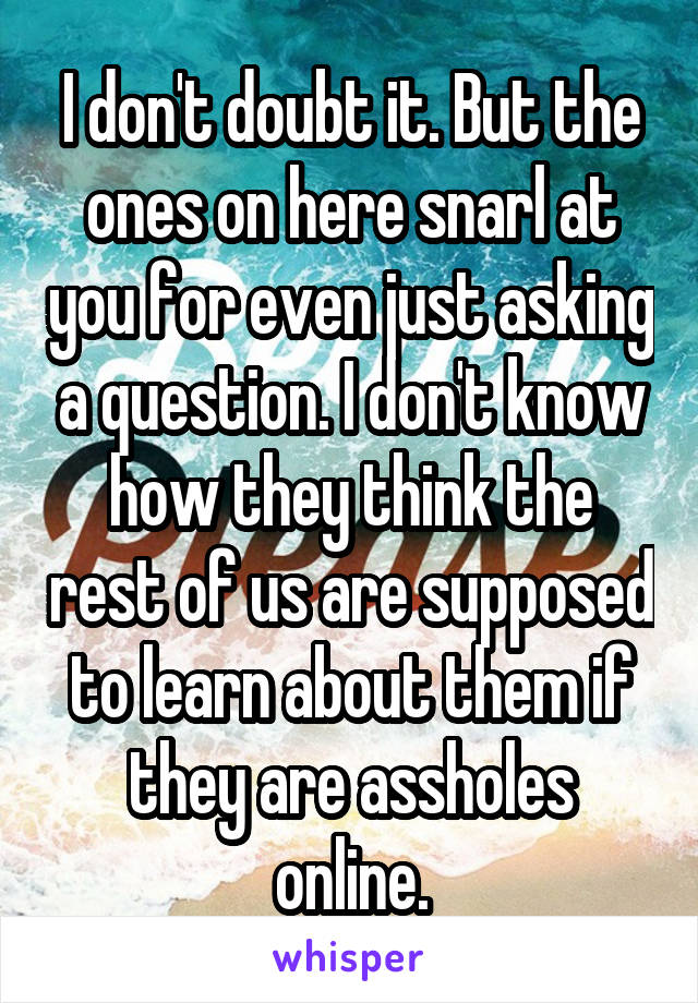 I don't doubt it. But the ones on here snarl at you for even just asking a question. I don't know how they think the rest of us are supposed to learn about them if they are assholes online.