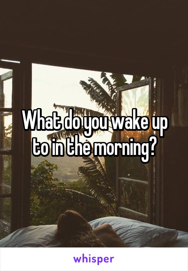 What do you wake up to in the morning?
