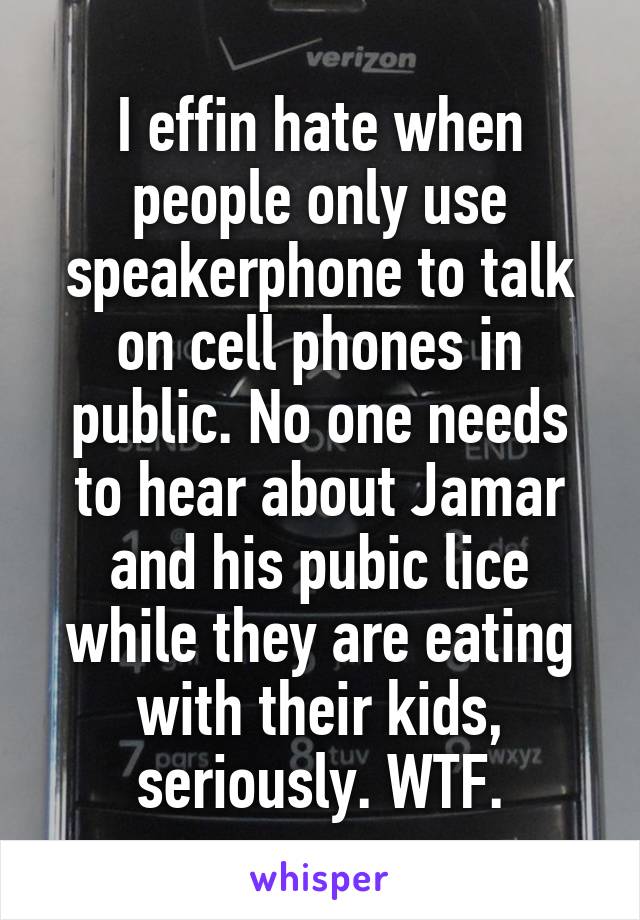 I effin hate when people only use speakerphone to talk on cell phones in public. No one needs to hear about Jamar and his pubic lice while they are eating with their kids, seriously. WTF.