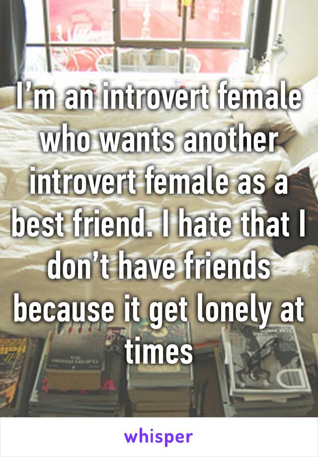 I’m an introvert female who wants another introvert female as a best friend. I hate that I don’t have friends because it get lonely at times 