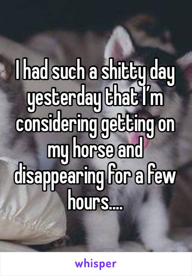 I had such a shitty day yesterday that I’m considering getting on my horse and disappearing for a few hours....