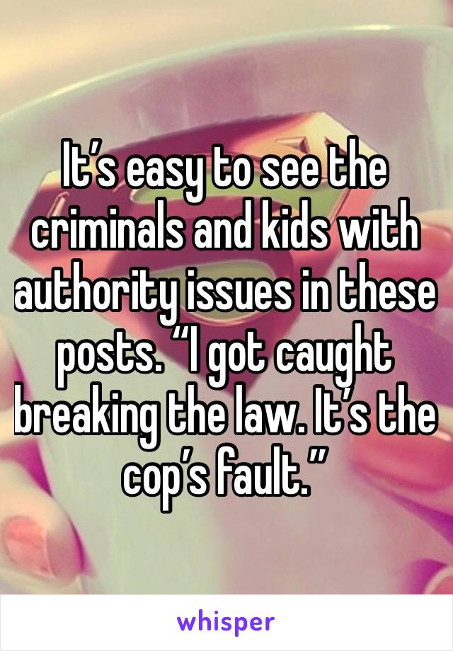 It’s easy to see the criminals and kids with authority issues in these posts. “I got caught breaking the law. It’s the cop’s fault.”