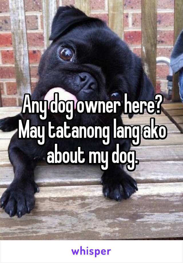 Any dog owner here?
May tatanong lang ako about my dog.
