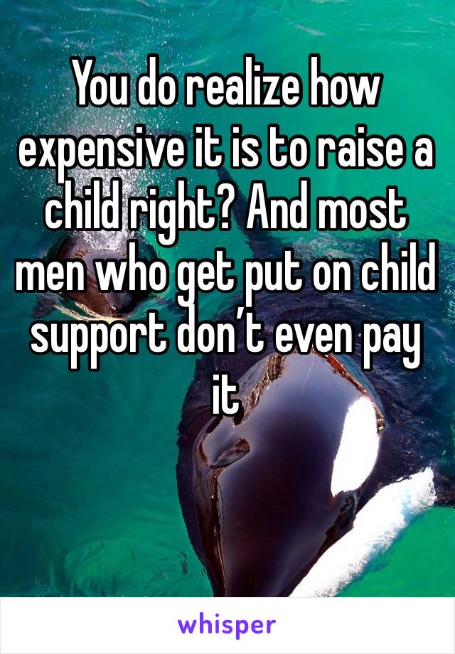 You do realize how expensive it is to raise a child right? And most men who get put on child support don’t even pay it