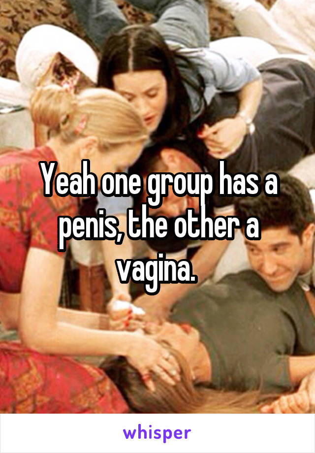 Yeah one group has a penis, the other a vagina. 