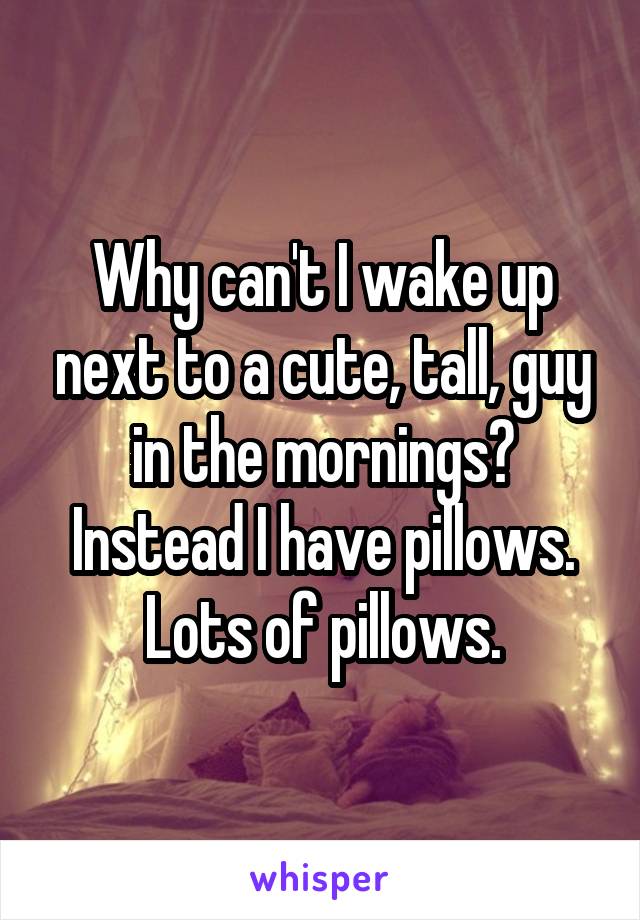 Why can't I wake up next to a cute, tall, guy in the mornings? Instead I have pillows. Lots of pillows.