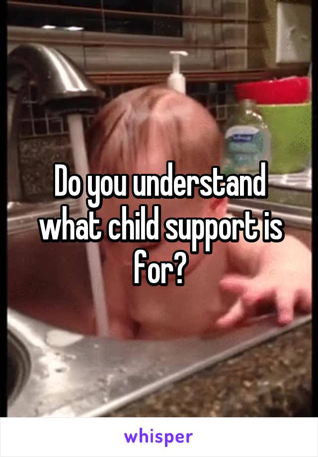 Do you understand what child support is for?