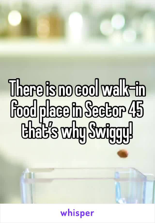 There is no cool walk-in food place in Sector 45 that’s why Swiggy!