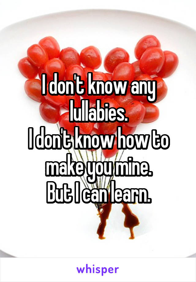 I don't know any lullabies.
I don't know how to make you mine.
But I can learn.