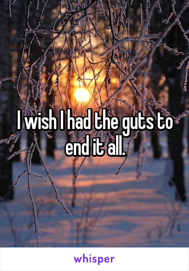 I wish I had the guts to end it all.