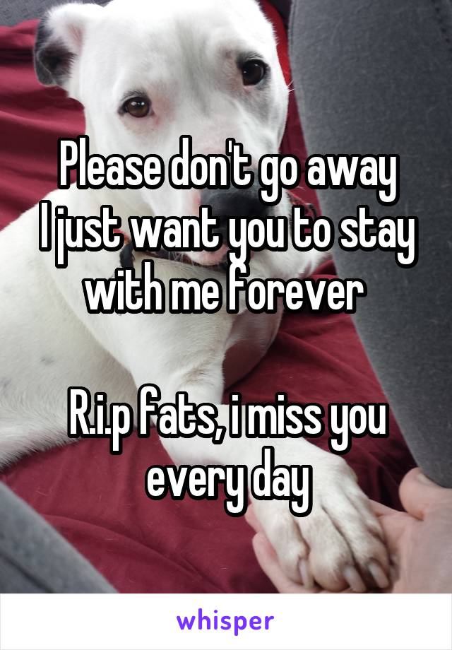 Please don't go away
I just want you to stay with me forever 

R.i.p fats, i miss you every day
