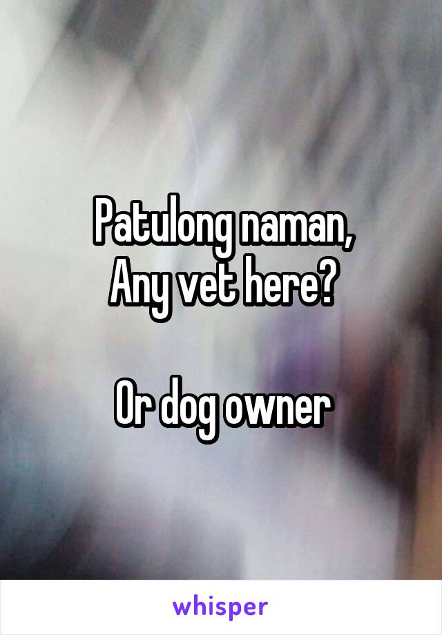 Patulong naman,
Any vet here?

Or dog owner