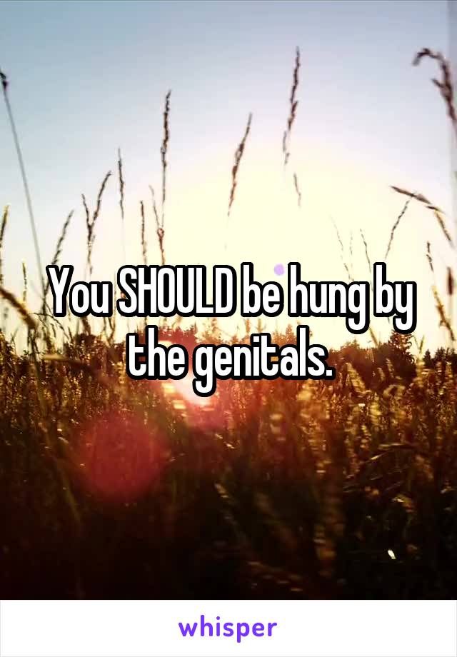 You SHOULD be hung by the genitals.