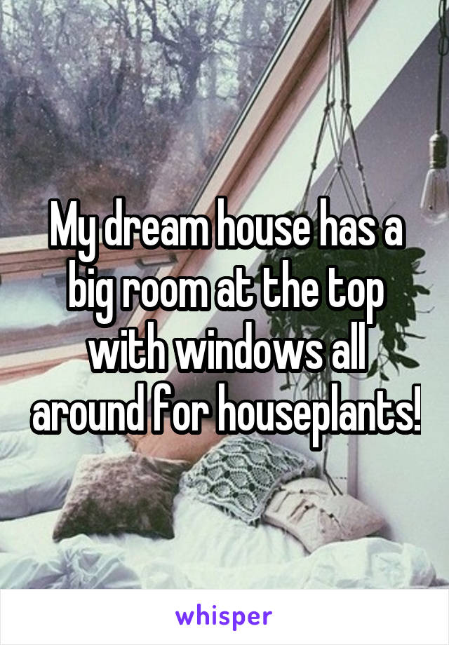 My dream house has a big room at the top with windows all around for houseplants!