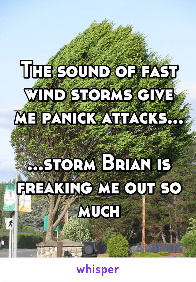 The sound of fast wind storms give me panick attacks...

...storm Brian is freaking me out so much
