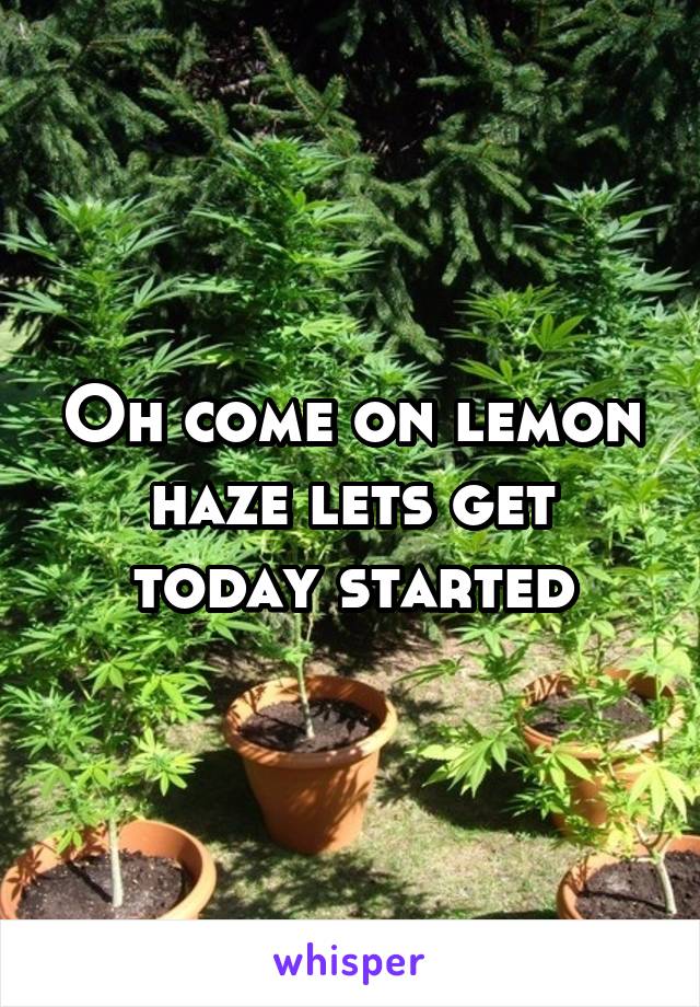Oh come on lemon haze lets get today started