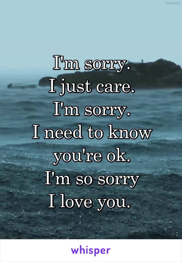 I'm sorry.
I just care.
I'm sorry.
I need to know you're ok.
I'm so sorry
I love you. 