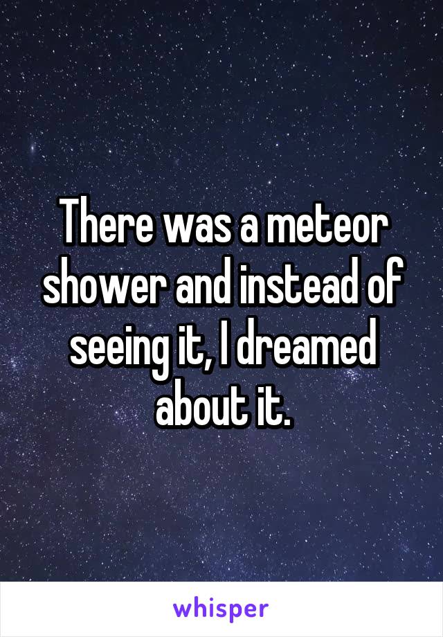There was a meteor shower and instead of seeing it, I dreamed about it.
