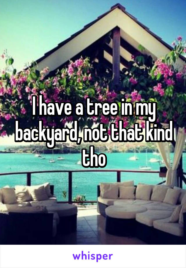 I have a tree in my backyard, not that kind tho