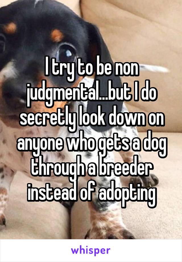 I try to be non judgmental...but I do secretly look down on anyone who gets a dog through a breeder instead of adopting