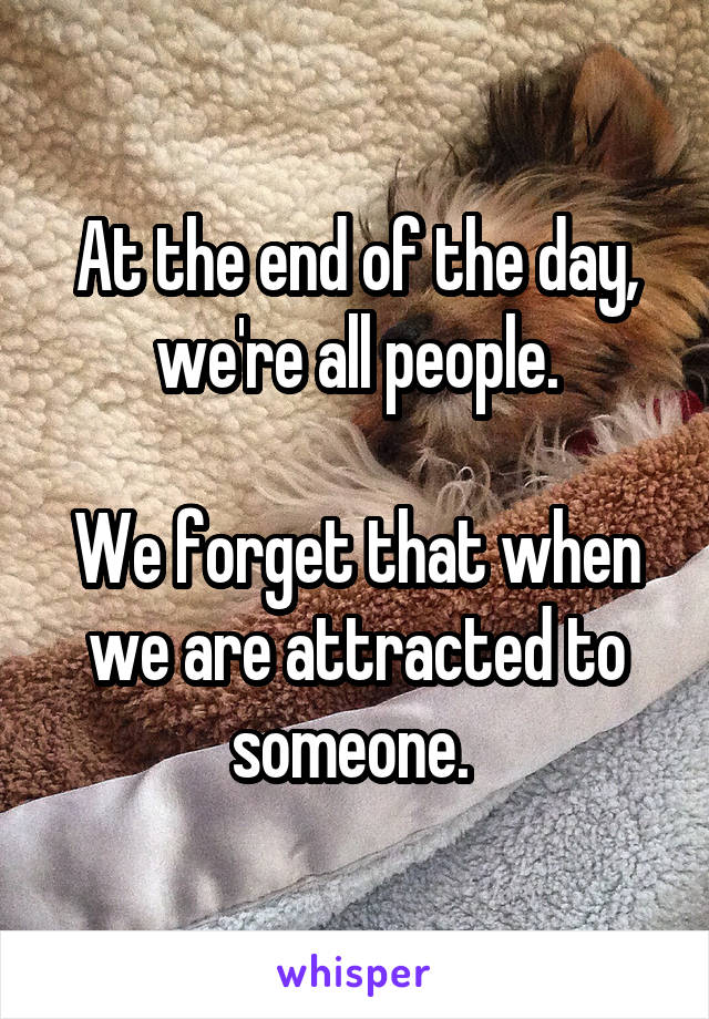 At the end of the day, we're all people.

We forget that when we are attracted to someone. 