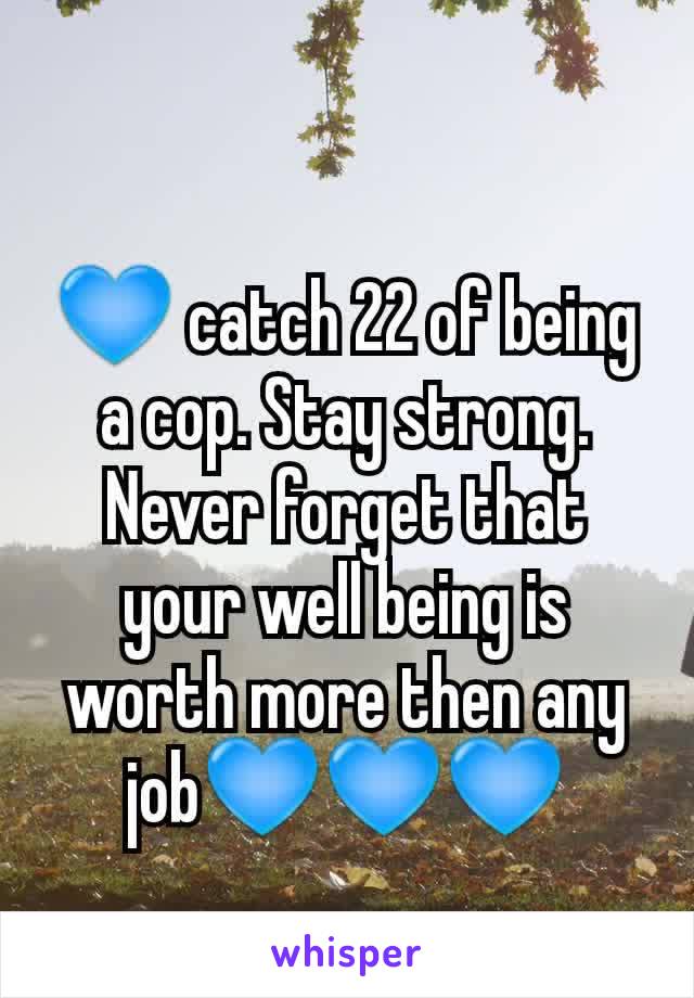 💙 catch 22 of being a cop. Stay strong. Never forget that your well being is worth more then any job💙💙💙