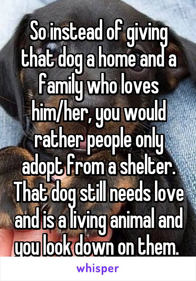 So instead of giving that dog a home and a family who loves him/her, you would rather people only adopt from a shelter. That dog still needs love and is a living animal and you look down on them. 