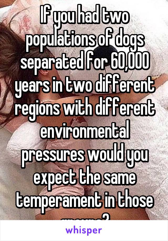 If you had two populations of dogs separated for 60,000 years in two different regions with different environmental pressures would you expect the same temperament in those groups?