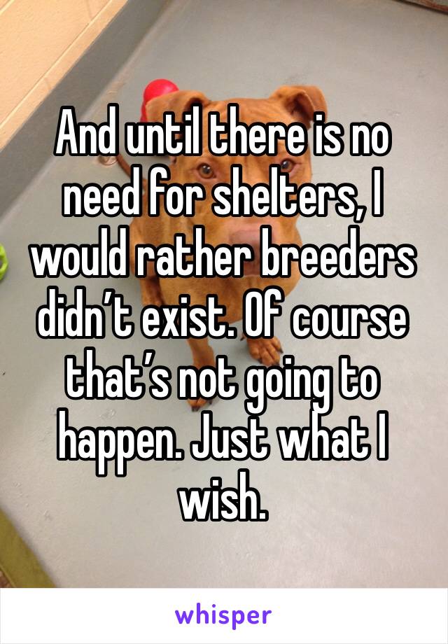 And until there is no need for shelters, I would rather breeders didn’t exist. Of course that’s not going to happen. Just what I wish. 