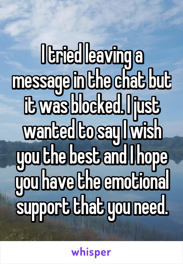 I tried leaving a message in the chat but it was blocked. I just wanted to say I wish you the best and I hope you have the emotional support that you need.