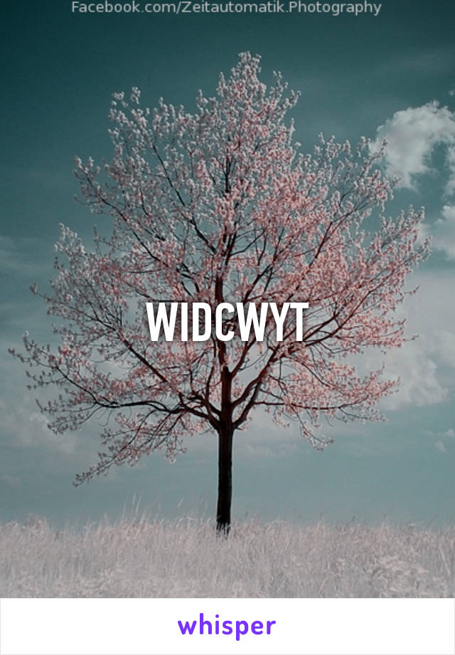WIDCWYT